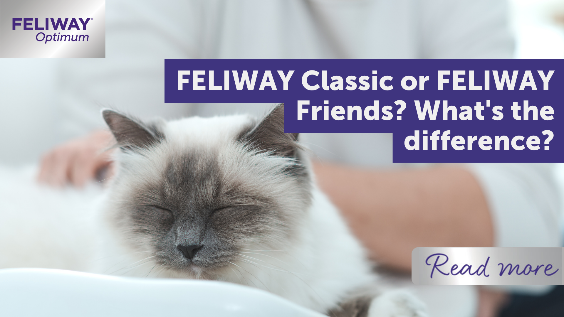 FELIWAY Classic or FELIWAY Friends? What’s the difference?