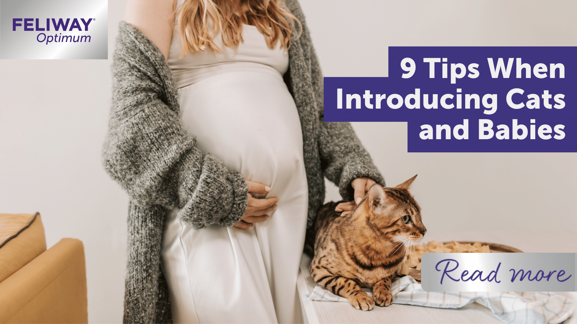 9 Tips When Introducing Cats and Babies