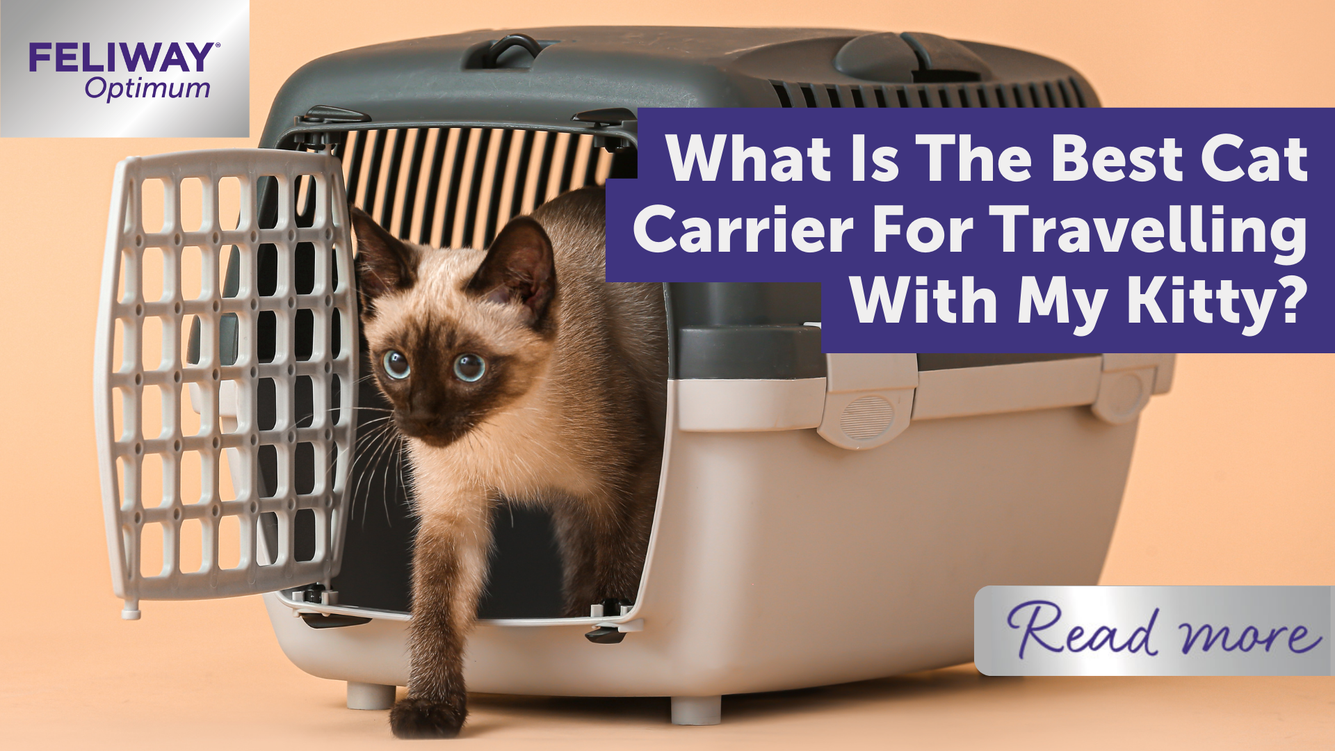 What Is The Best Cat Carrier For Travelling With My Kitty?