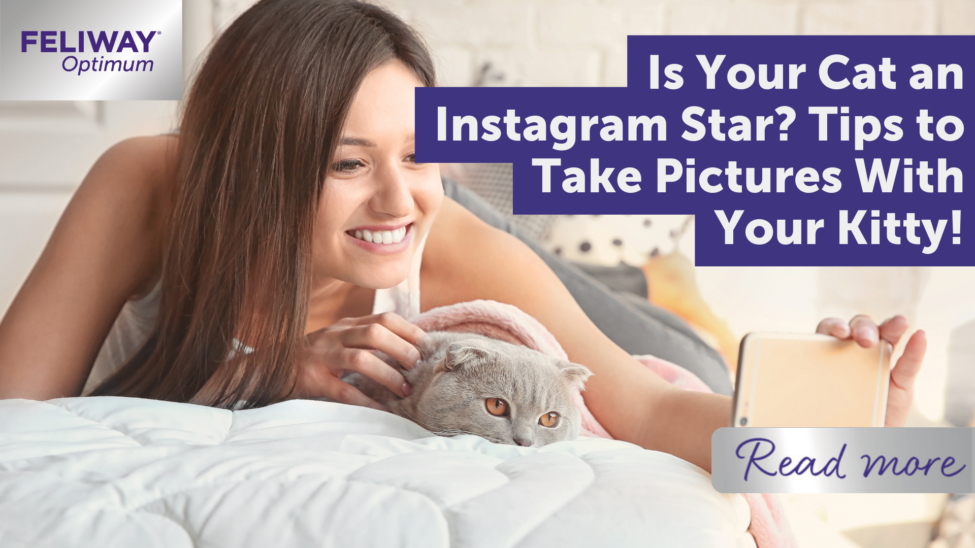 Your Cat is an Instagram Star? Tips to Take Pictures With Your Kitty!