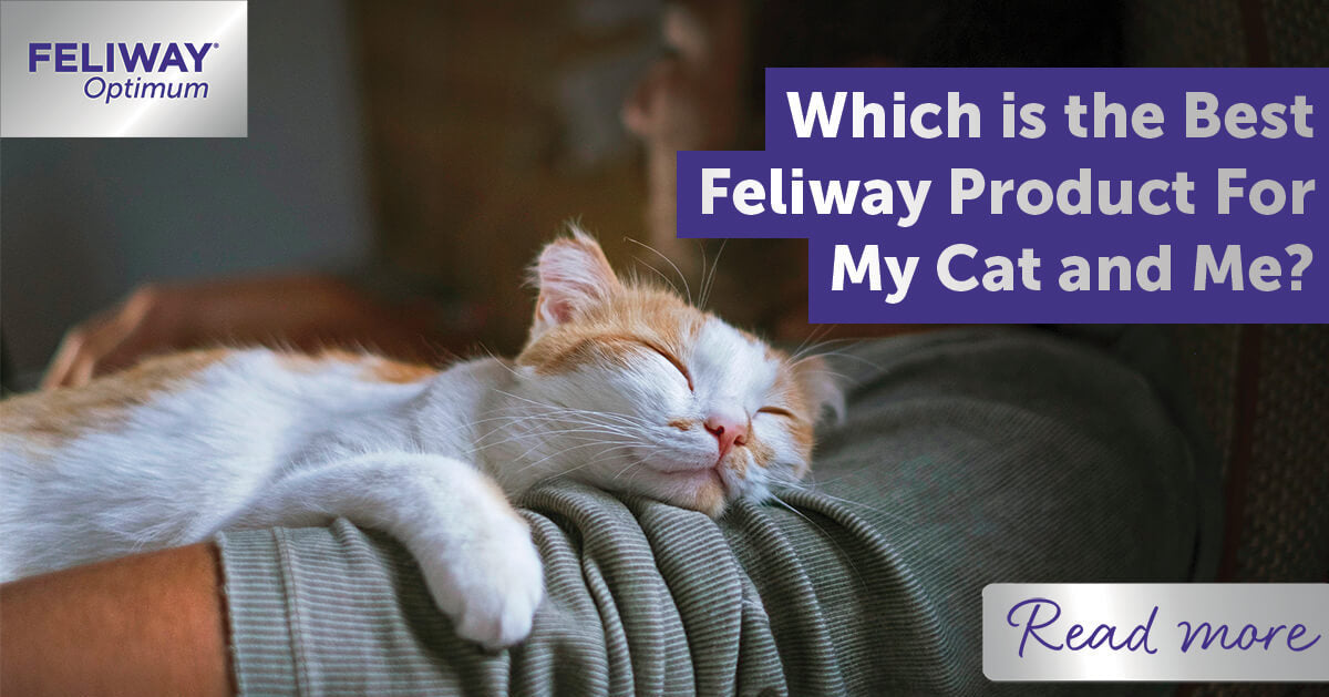Which is the Best FELIWAY Product for my Cat and Me?