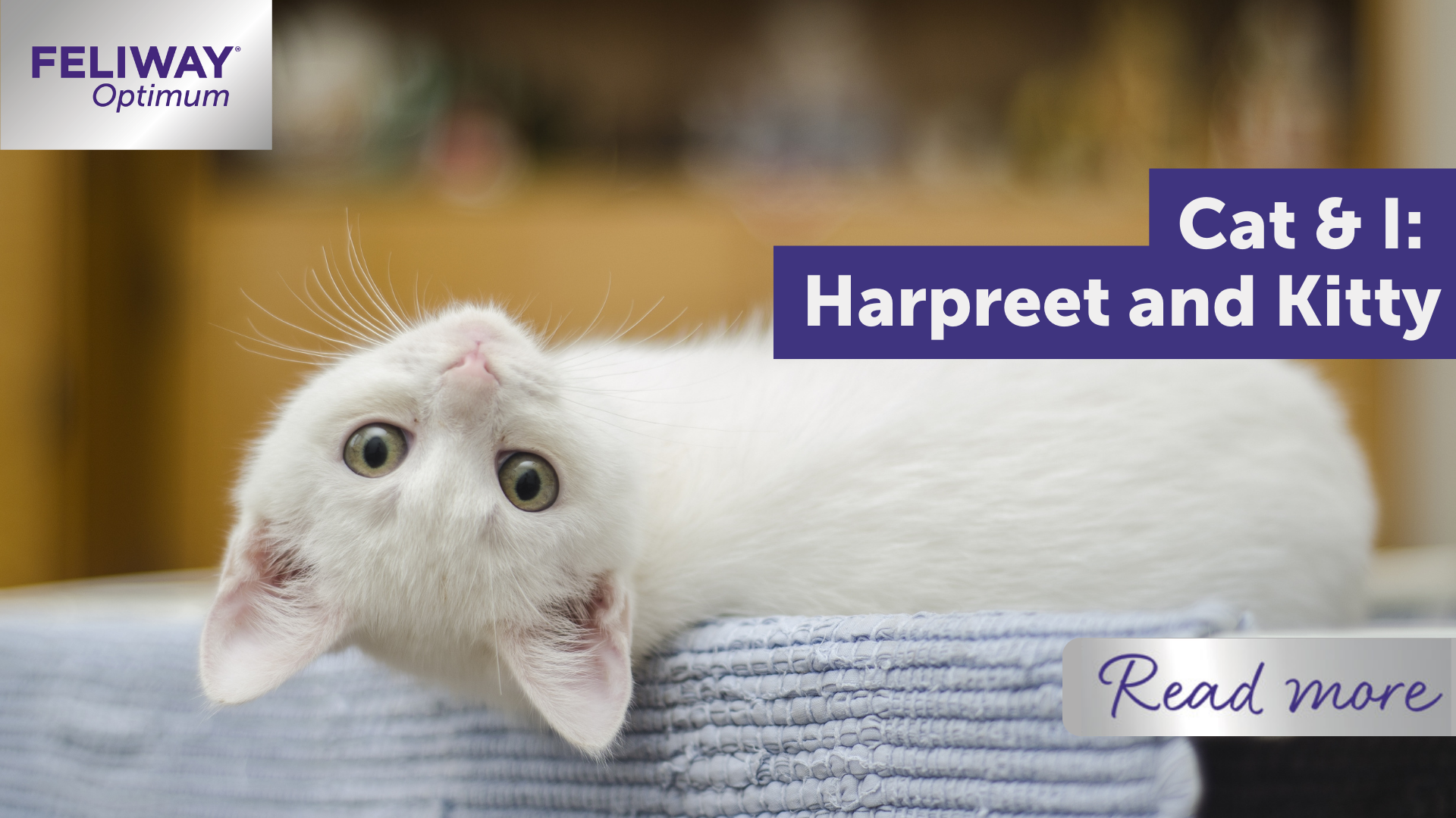 Cat & I: Harpreet and Kitty