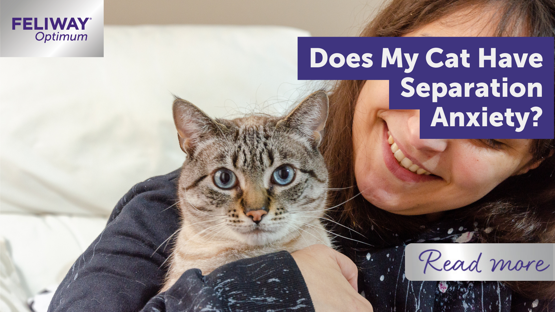Does My Cat Have Separation Anxiety?