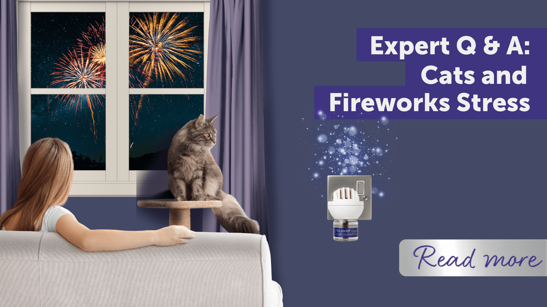 Expert Q&A: Fireworks