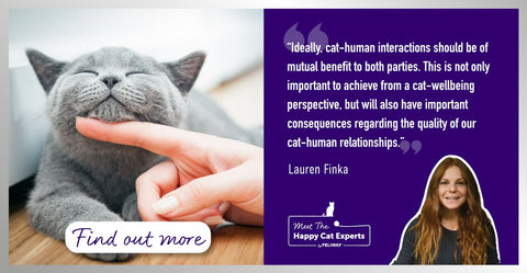 How to interact with your cat to keep them happy (and stop you getting bitten!)