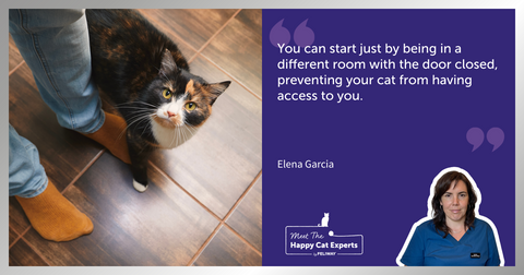 Should My Cat Learn To Stay Home Alone? : A Happy Cat Expert Explains