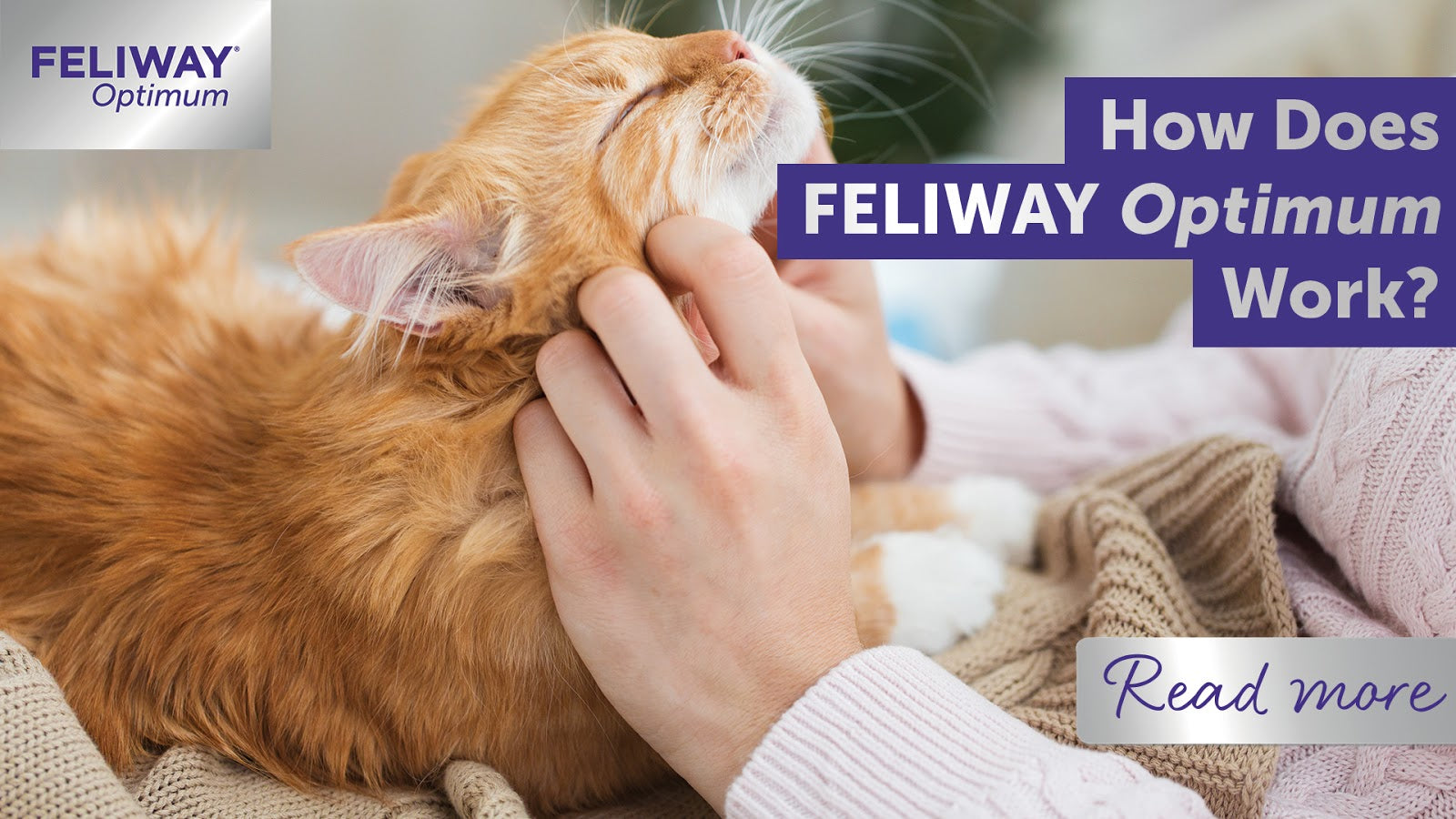 How Does FELIWAY Optimum Work?