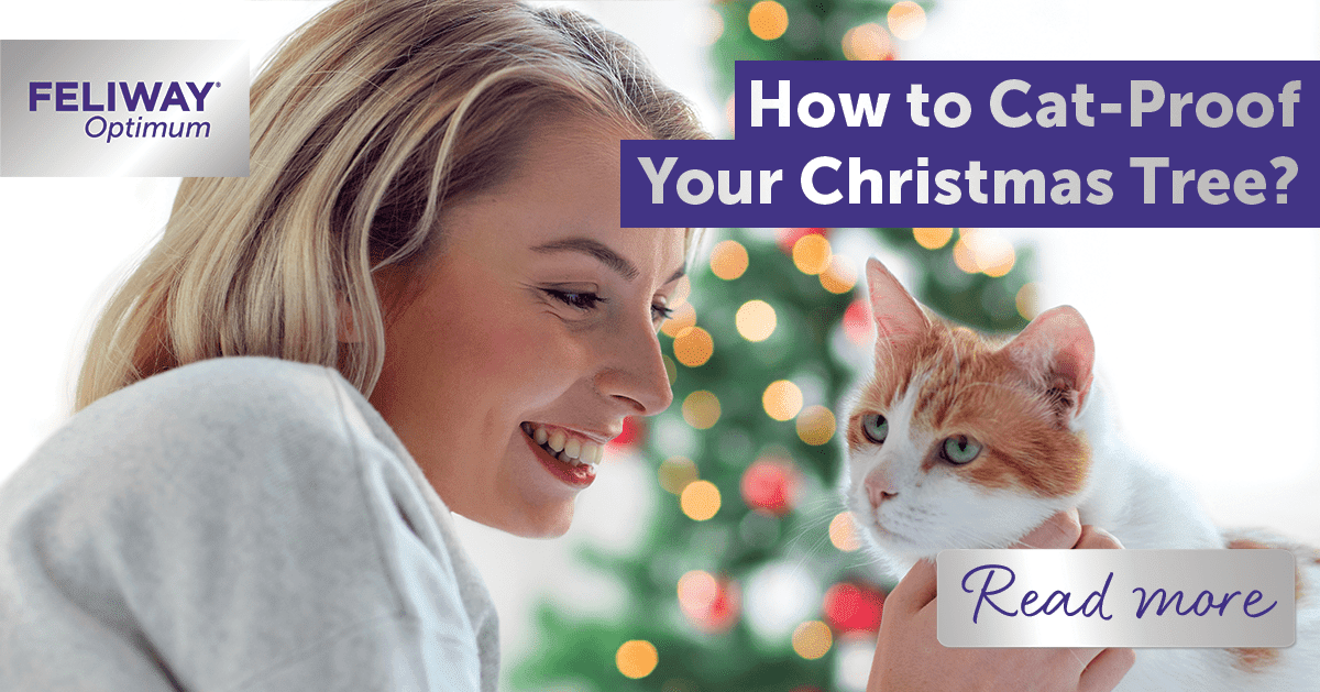 How to Cat-Proof Your Christmas Tree