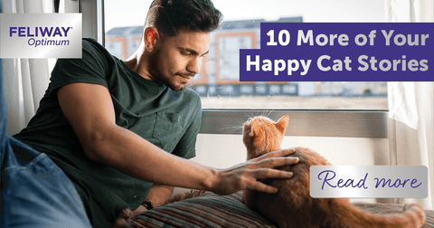 10 More of Your Happy Cat Stories