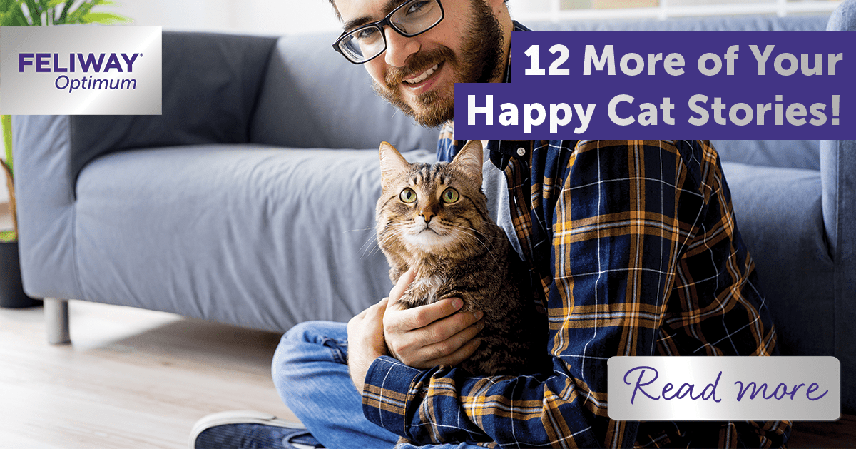 12 More of Your Happy Cat Stories!