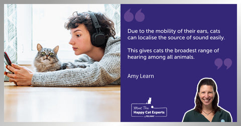 Cat next to human listening to music.