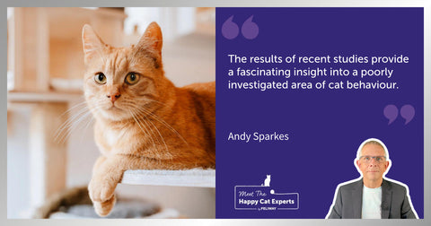 Feline Facial Expressions: A Happy Cat Expert Explains!