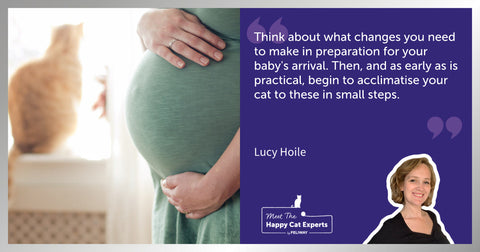 Happy Cat Expert: How to Prepare a Cat for a Baby