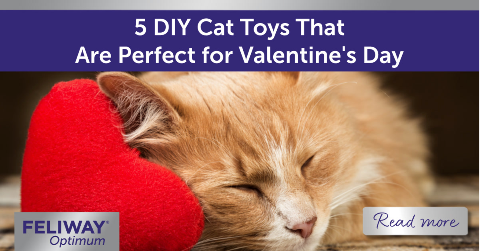 Ginger cat laying with heart shaped toy.
