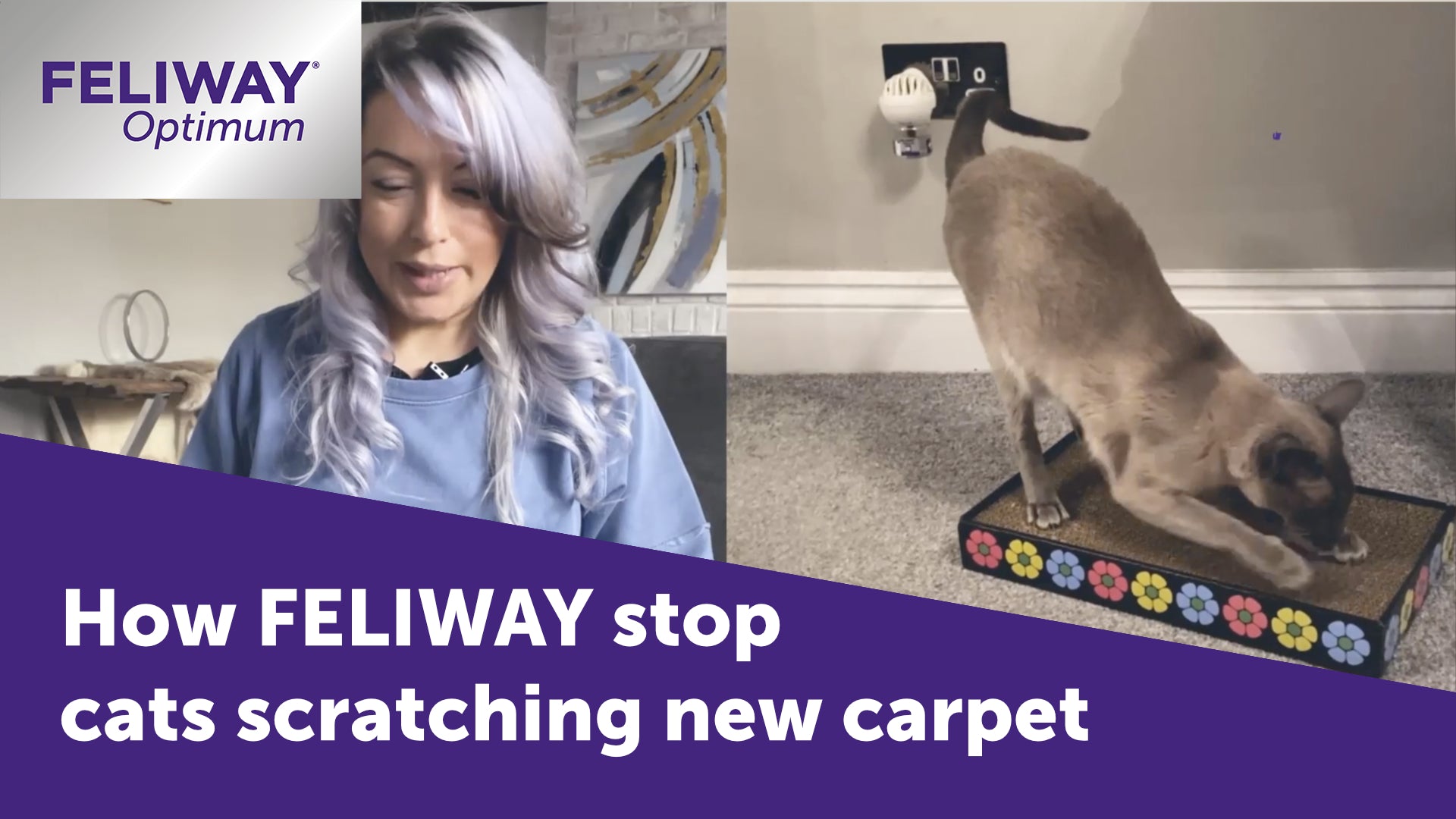 FELIWAY Optimum Video testimonials from the community