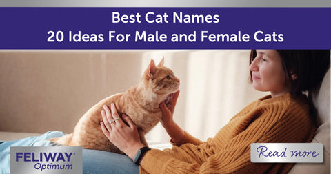Best Cat Names! 20 Ideas For Male and Female Cats