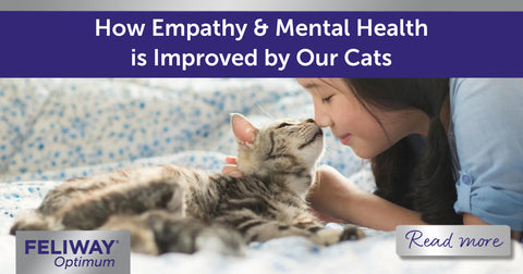 How Empathy and Mental Health is Improved by Our Cats