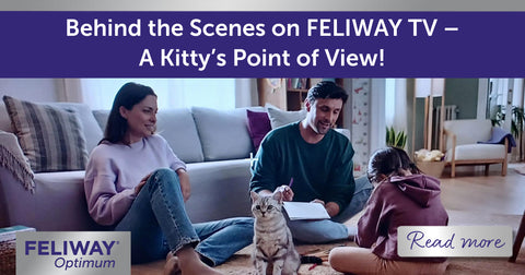 Behind the Scenes on FELIWAY TV โ A Kittyโs Point of View!