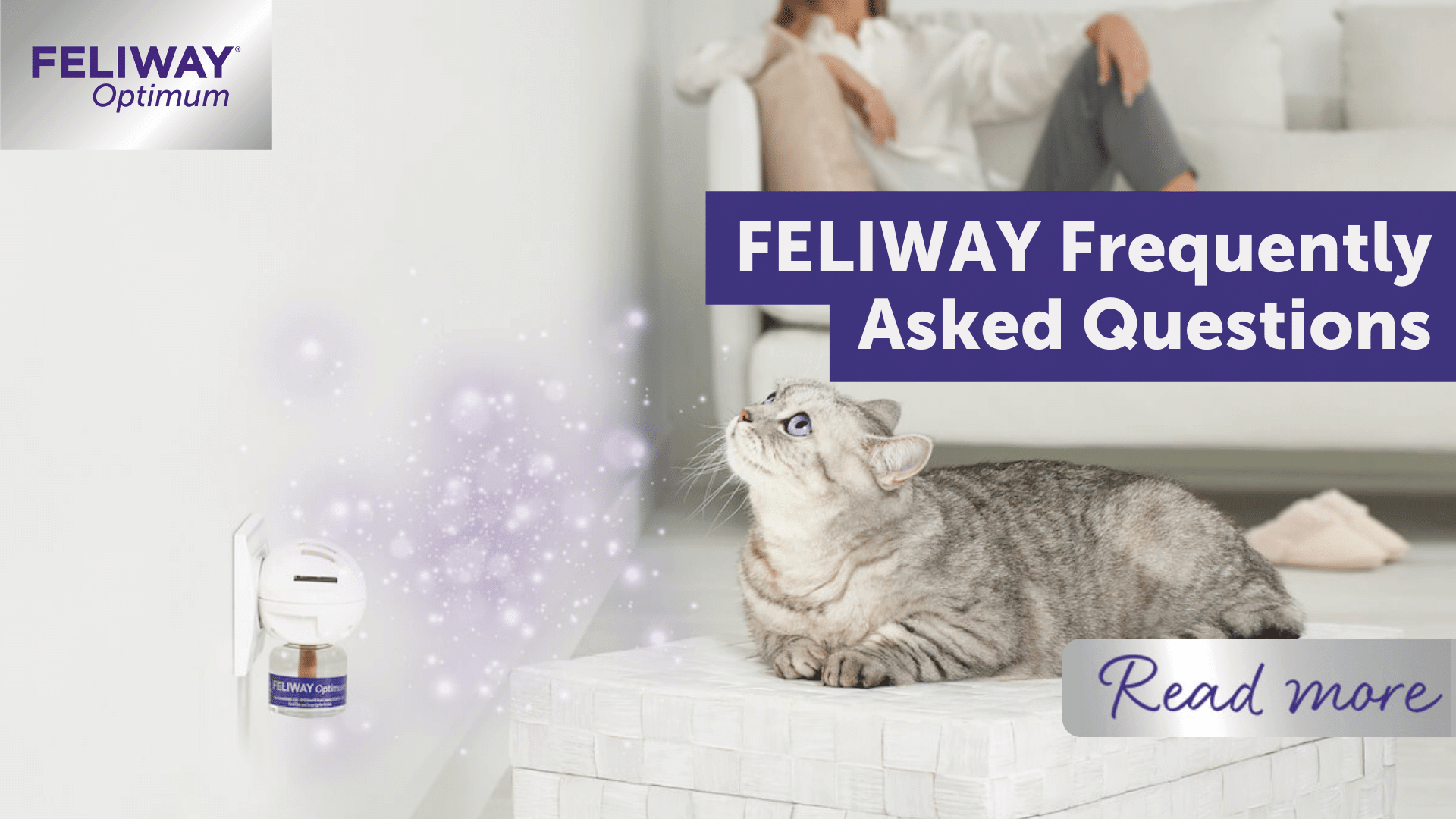 F.F.A.Q (FELIWAY Frequently Asked Questions)