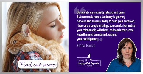 Best Way to Help a Nervous Cat: Happy Cat Expert Explains