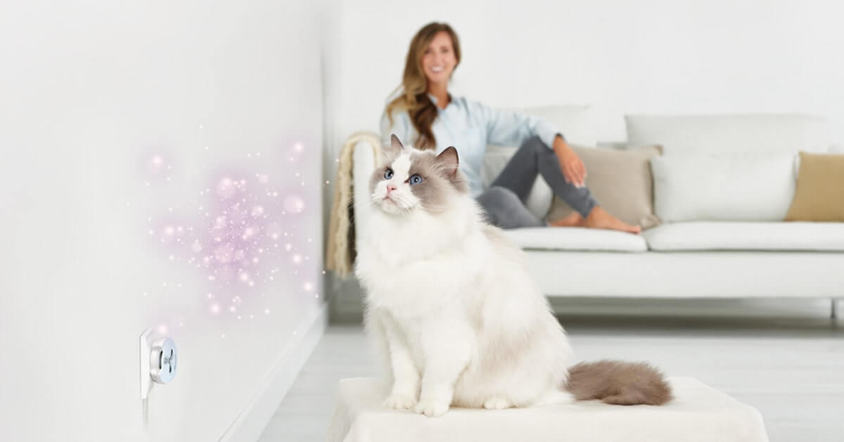 View of FELIWAY Help! Diffuser Kit | Cat Pheromone Plug-In