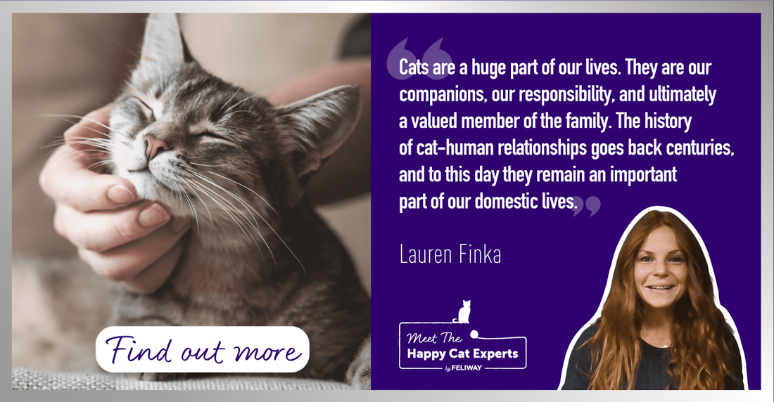 10 Cool Facts About Cats: A Happy Cat Expert Explains