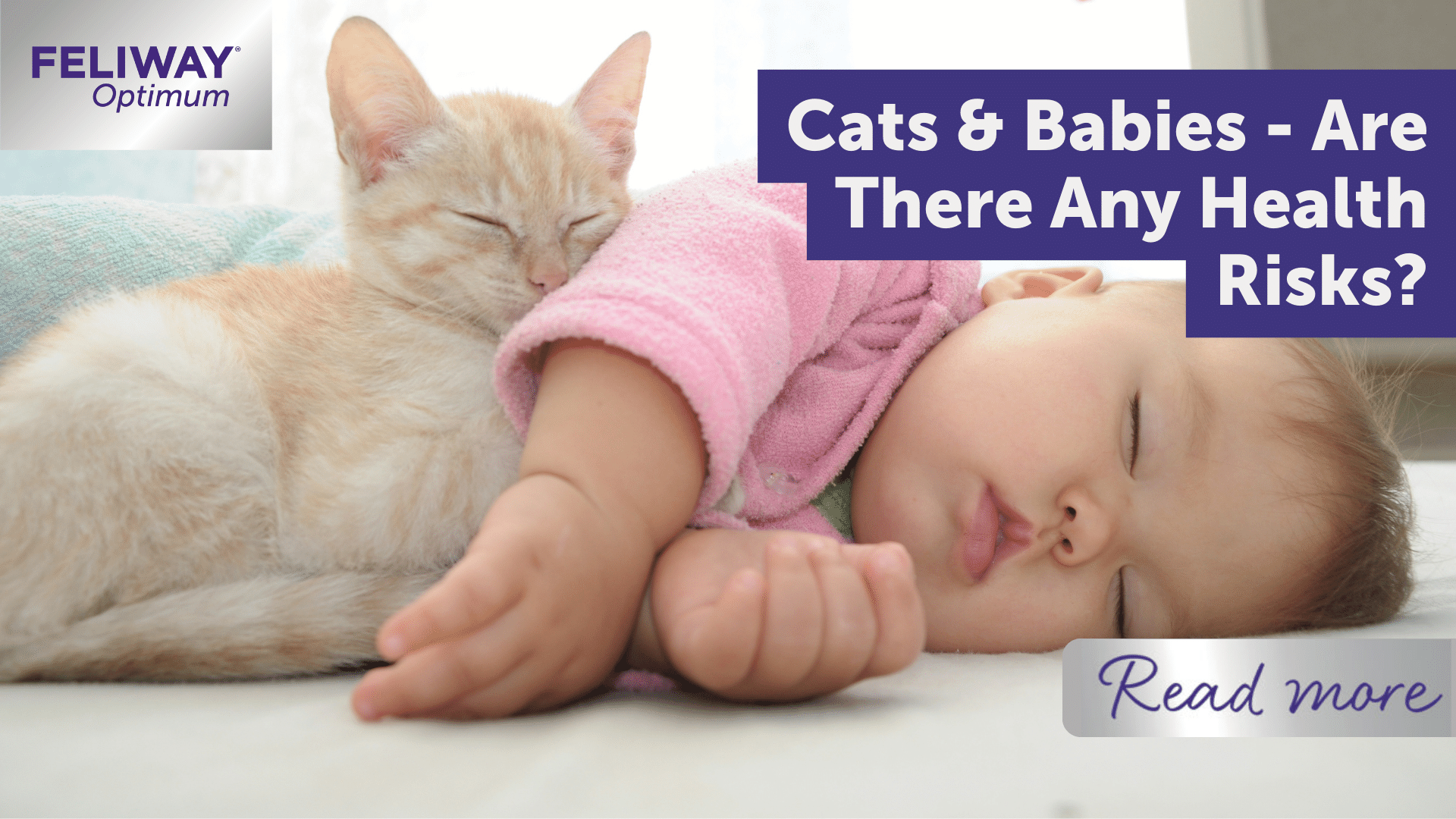 Cats and Babies - Are There Any Health Risks To Be Aware Of