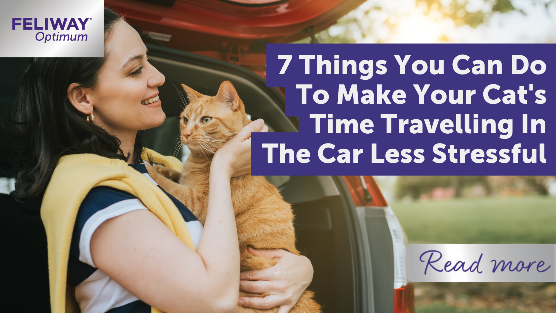 7 things you can do to make your cats time travelling in the car less stressful