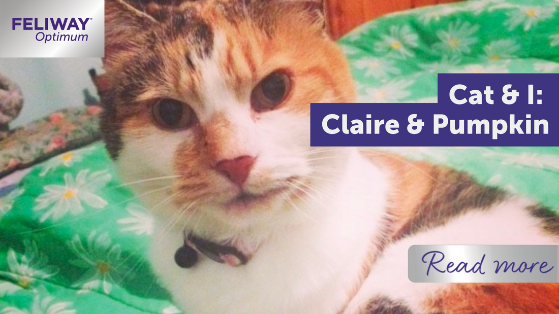 Cat & I: Claire & Pumpkin