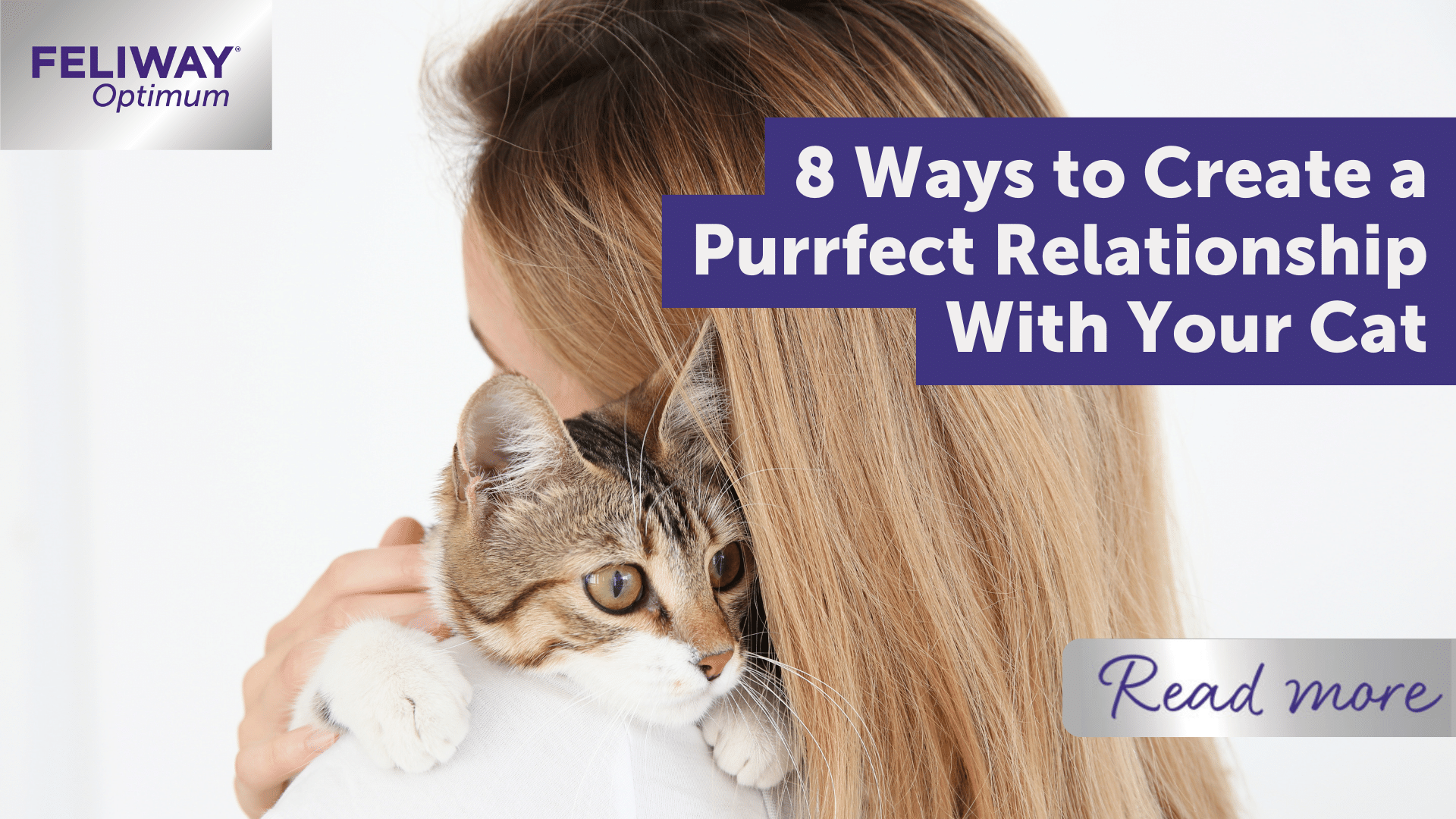 8 Ways to Create a Purrfect Relationship With Your Cat