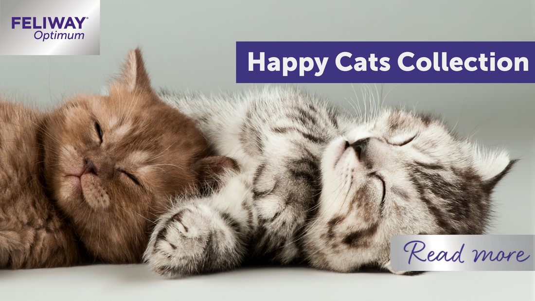 Happy Cats Collection