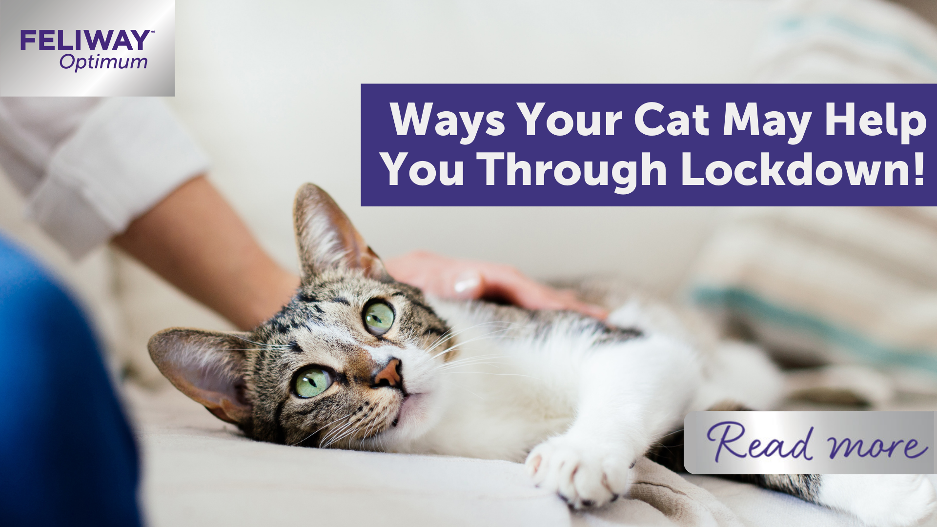 Ways Your Cat May Help You Through Lockdown!