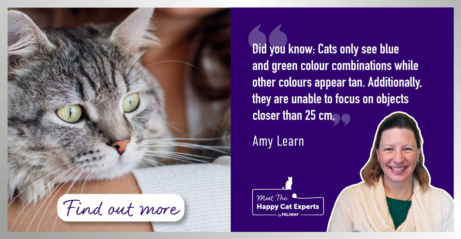 Senses and Our Cats with Happy Cat Expert: Part 1 - Vision in Cats