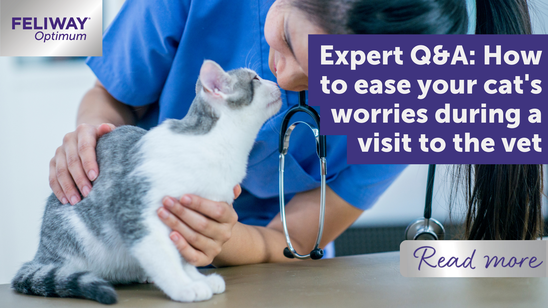 Expert Q&A: How to ease your cat‚Äôs worries during a visit to the vet