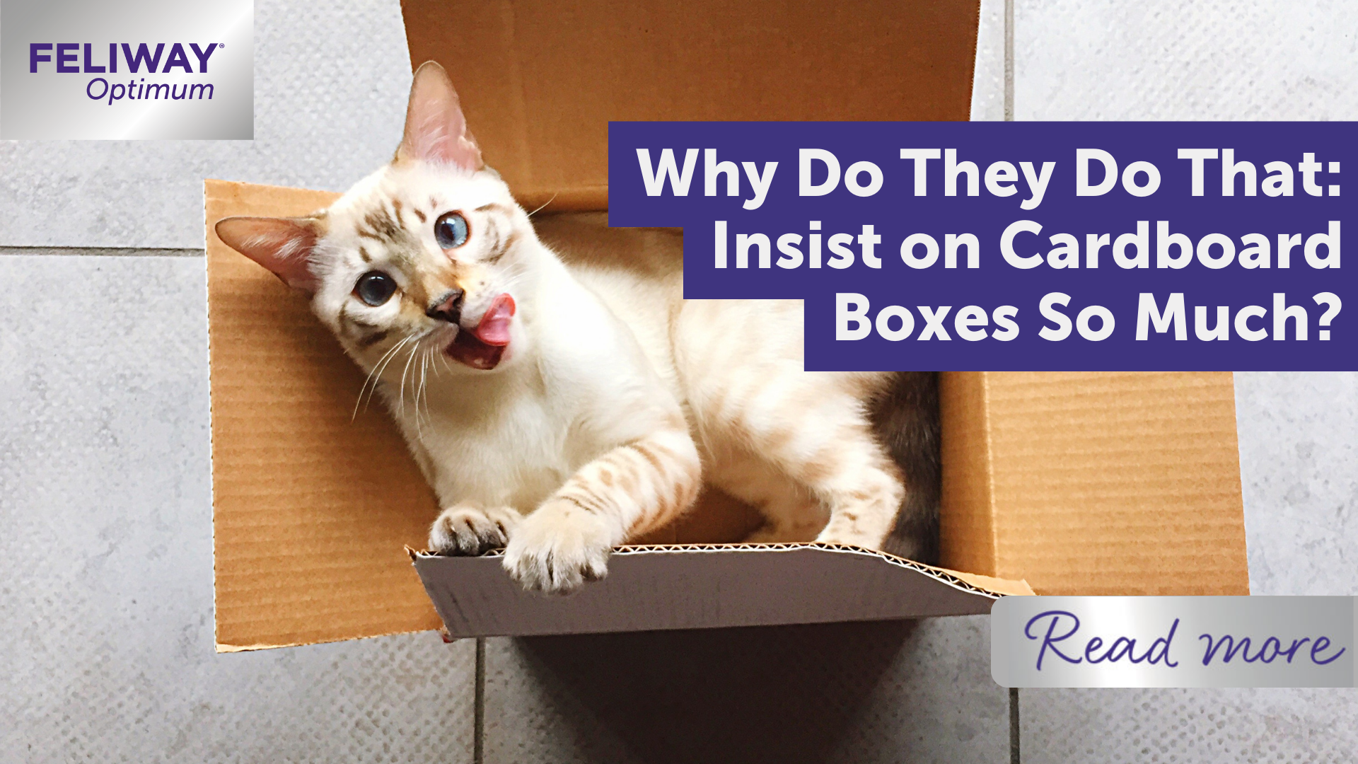 Why do they do that: insist on cardboard boxes so much?