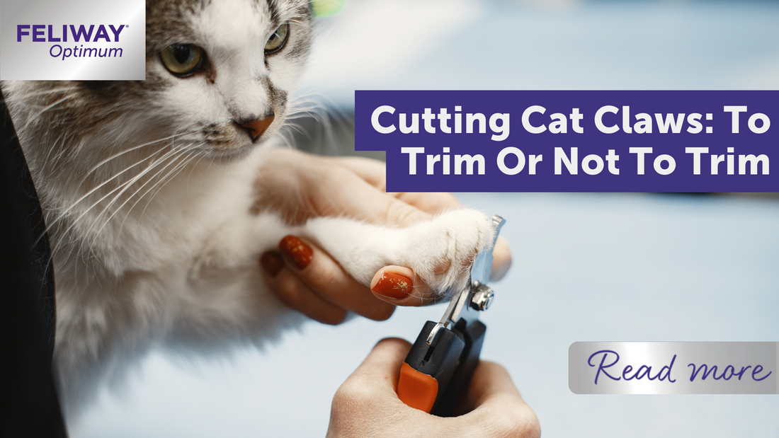 Cutting Cat Claws To Trim Or Not To Trim Feliway UK