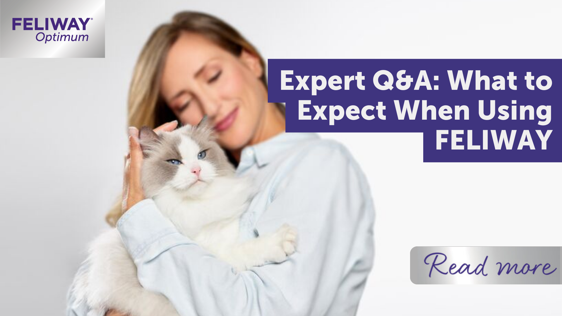 Expert Q&A: What to expect when using FELIWAY