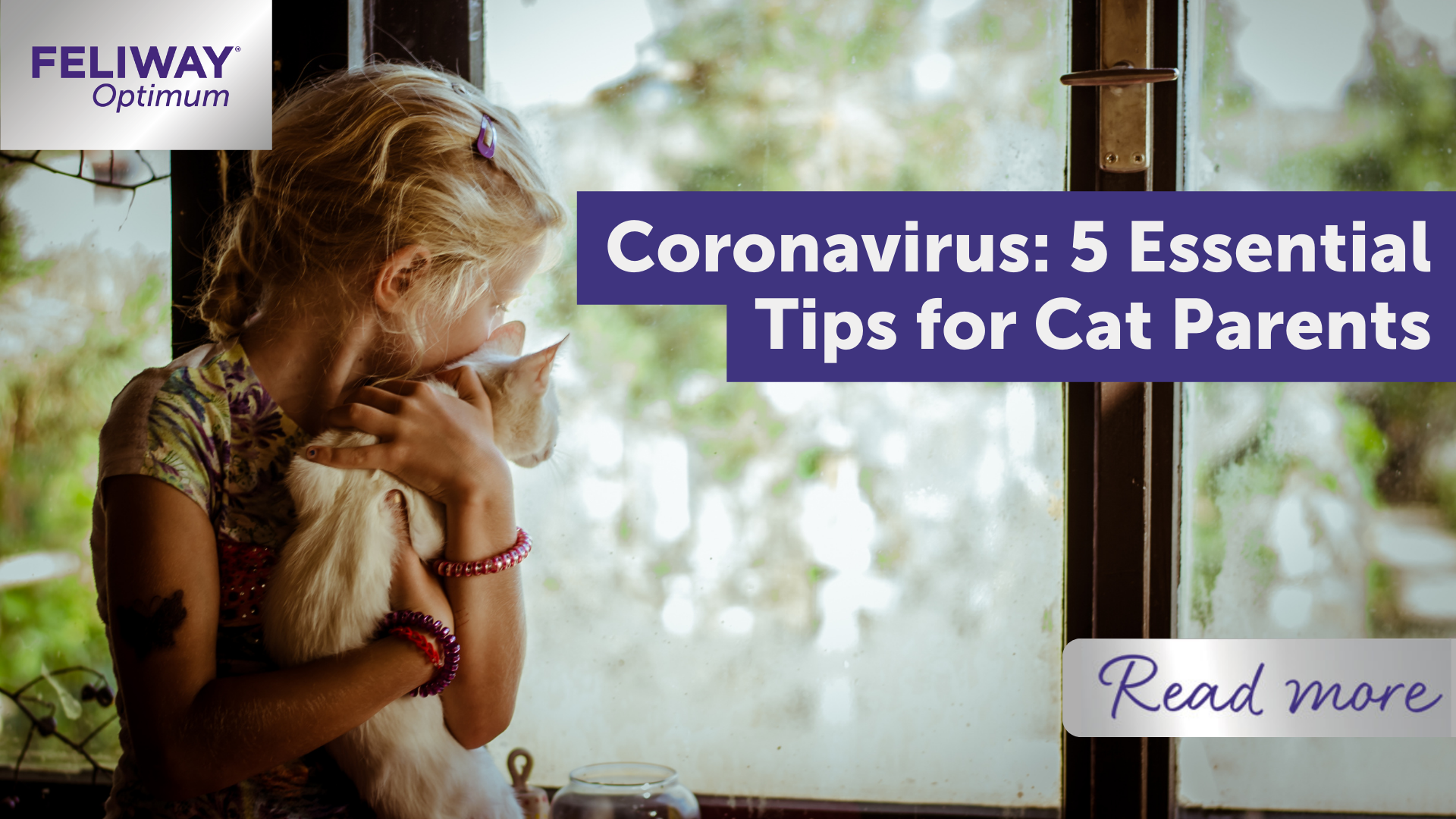Coronavirus: 5 essential tips for cat parents