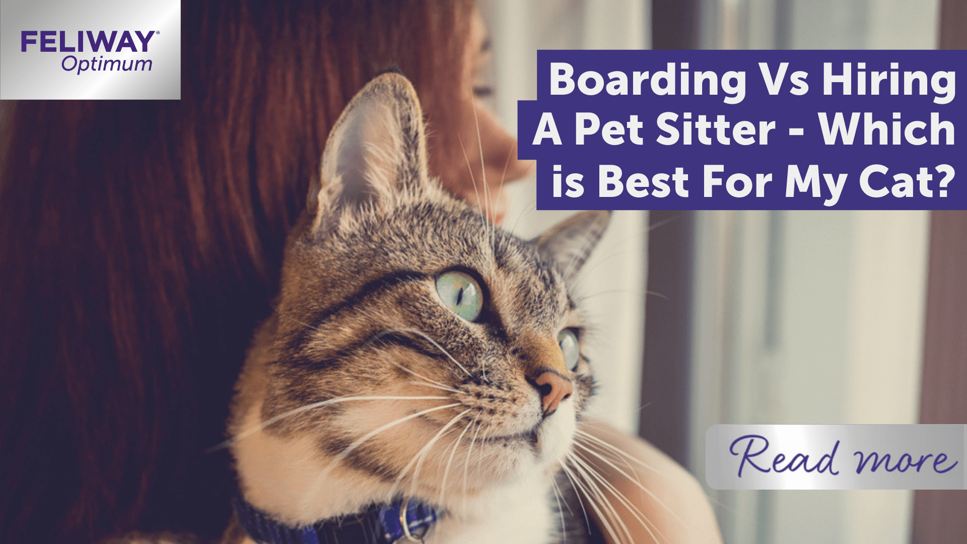 Boarding Vs Hiring a Pet Sitter - Which Is Best For My Cat?