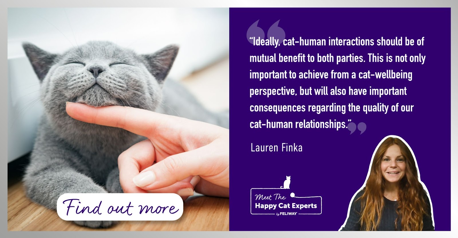 How to interact with your cat to keep them happy! | FELIWAY Cat Expert