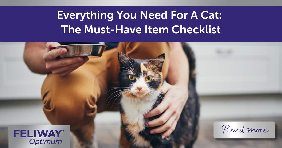 Everything You Need For A Cat: The Must-Have Item Checklist | FELIWAY