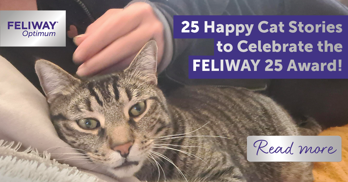 25 Happy Cat Stories to celebrate FELIWAY 25 Award!