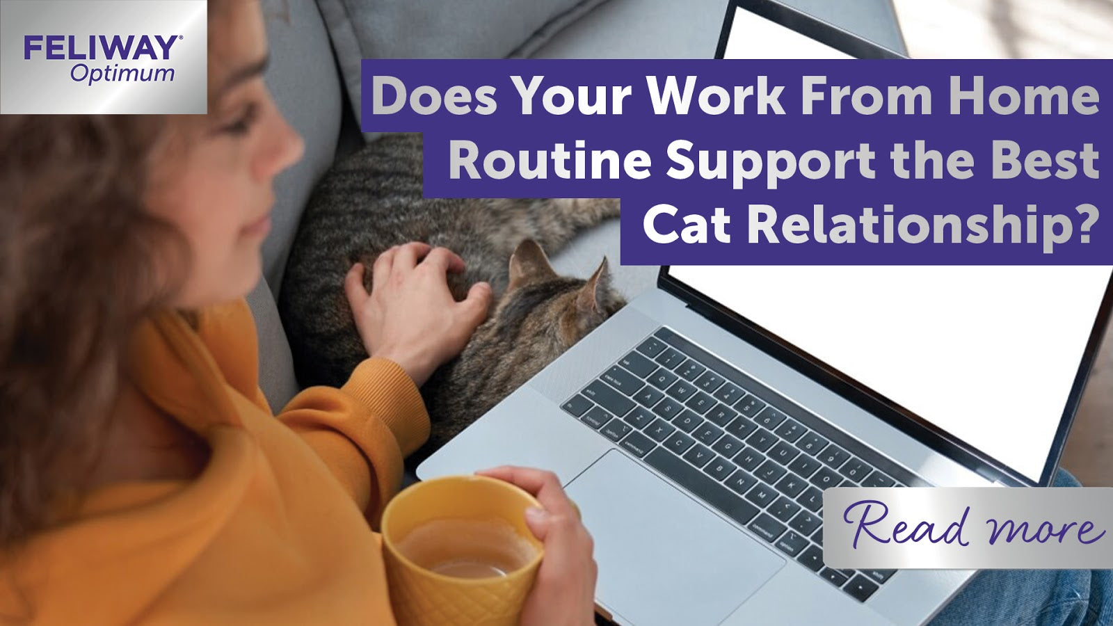 Does Your Work From Home Routine Support the Best Cat Relationship?