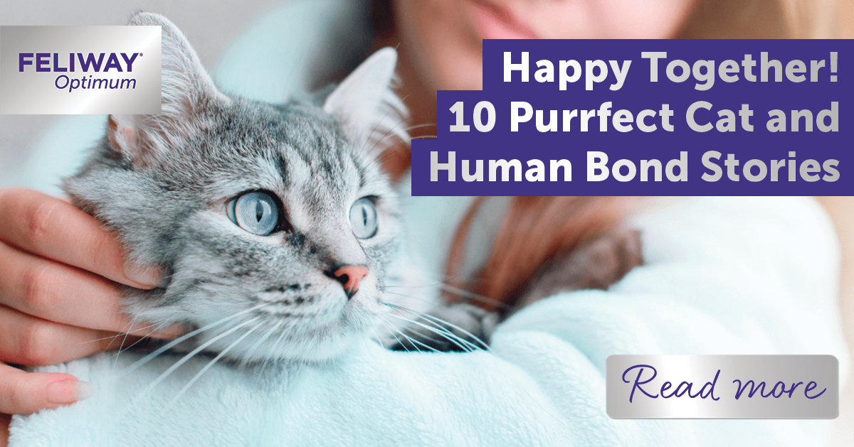 Happy Together! 10 Purrfect Cat and Human Bond Stories