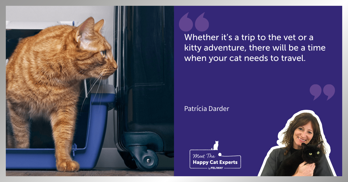Happy Cat Expert: Tips on How to Stop Your Cat Getting Stressed Whilst Travelling