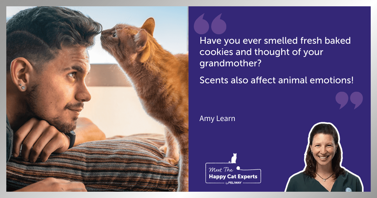 Happy Cat Expert Explains: Cats Senses