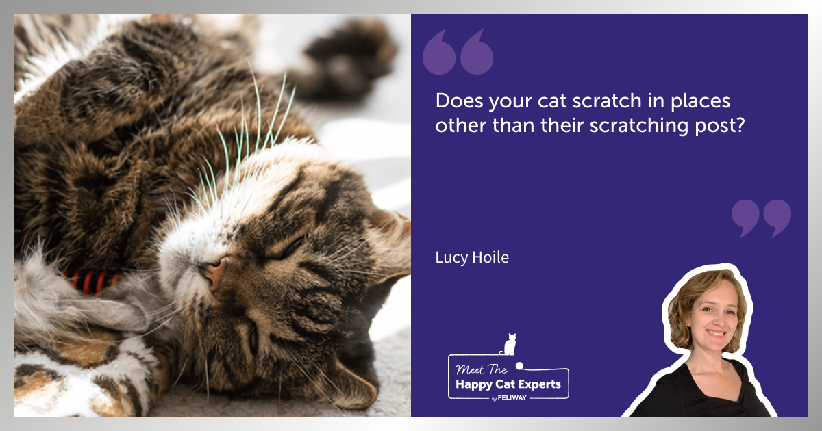 How to Encourage Your Cat to Use a Scratching Post