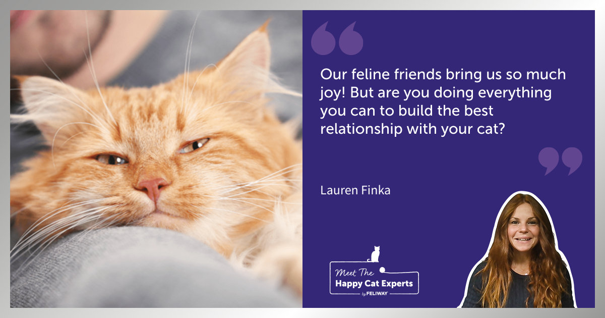 How to Build a Good Relationship With Your Cat: A Happy Cat Expert Explains!