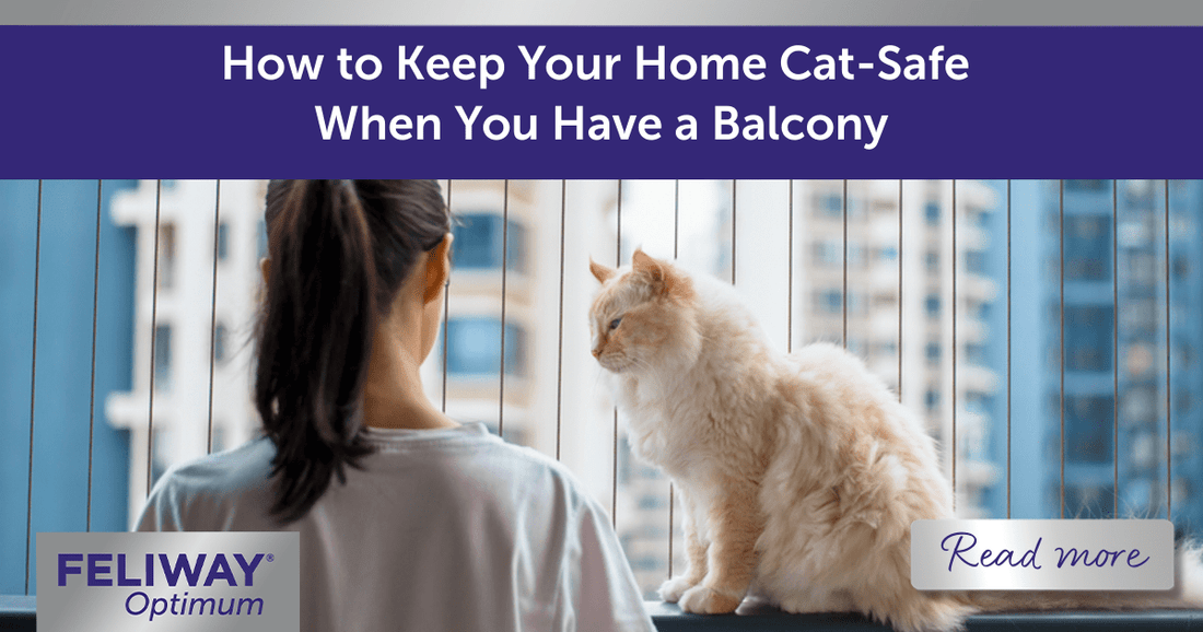 How to Keep Your Home Cat-Safe When You Have a Balcony
