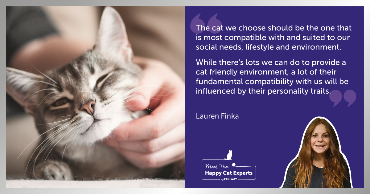 Important Cat Personality Traits: A Happy Cat Expert Explains!